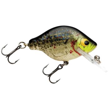 Bagley Small Fry 1 2In 1/4Oz White Crappie