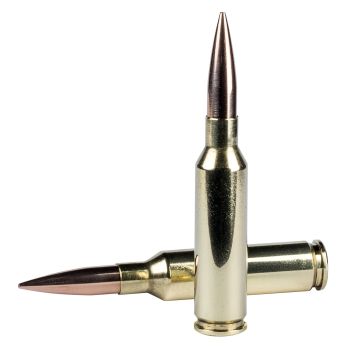 Federal-Non-Typical-Rifle-Ammo FGM65CRDBH130