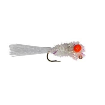 The-Crappie-Psychic-Grass-Shmp TCP007-2