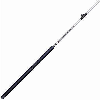 B&M Silver Cat Magnum Rod Spin 10Ft 2Pc H